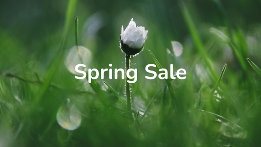 1Panel Spring Sale